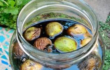 Настойка маньчжурского ореха на водке — правила применения